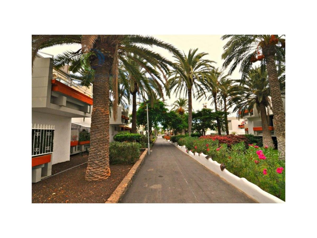 Apartamento Primavera Costa Del Silencio Luaran gambar