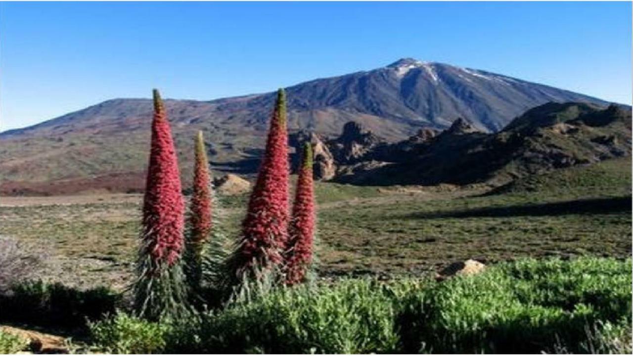Apartamento Primavera Costa Del Silencio Luaran gambar